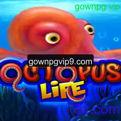 Tudo Sobre OctopusLife: A Inovadora Jornada Subaquática
